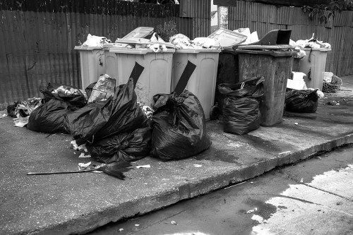Waste clearance process by experts